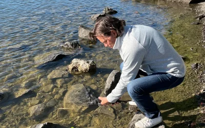 Var med i Hjällbo när Atlantstören återvänder till Göta älv den 5 augusti